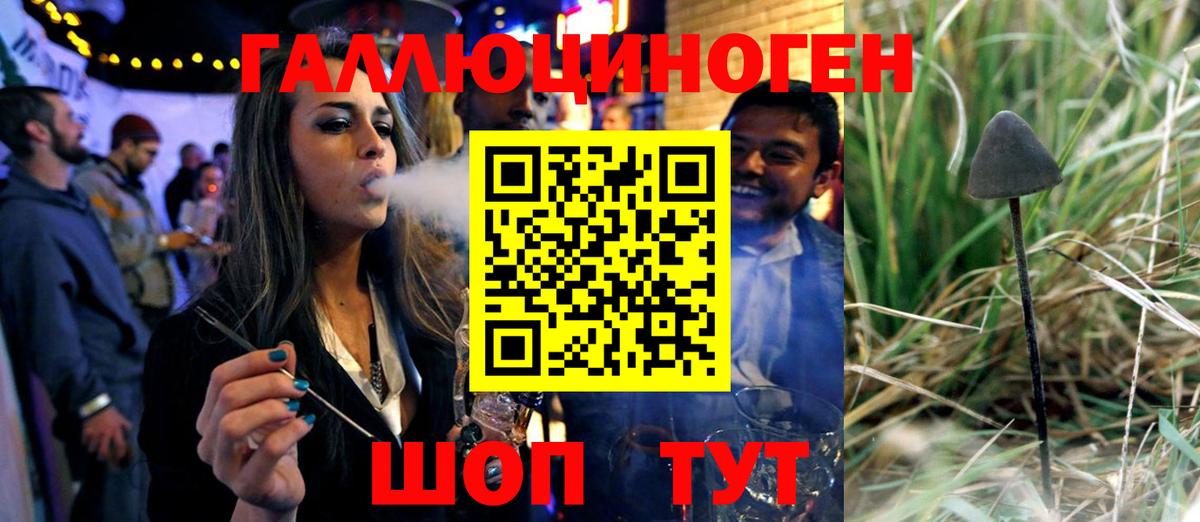 Галлюциногенные грибы прущие грибы  Вход с VPN  Протвино 