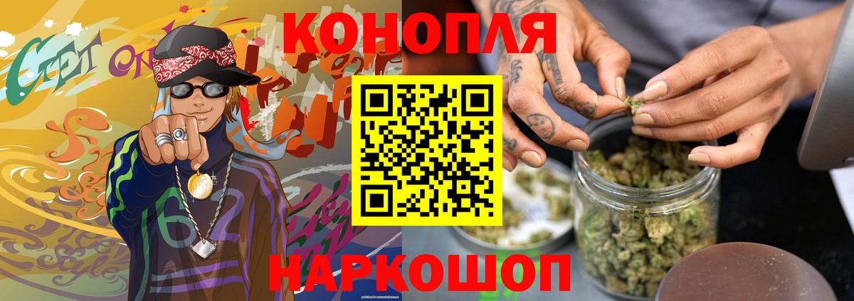 Бошки Шишки план  Вход с VPN  Протвино  Бошки марихуана сатива 